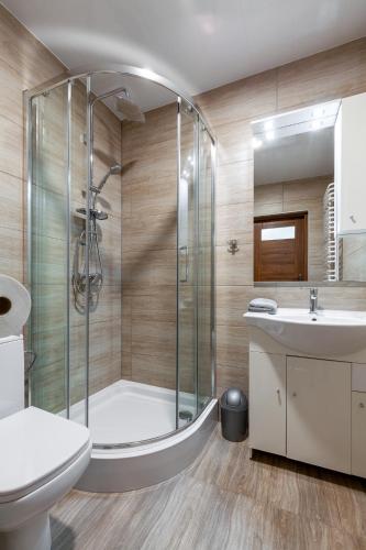 a bathroom with a shower and a toilet and a sink at Agroturystyka Za Świerkami in Tylicz