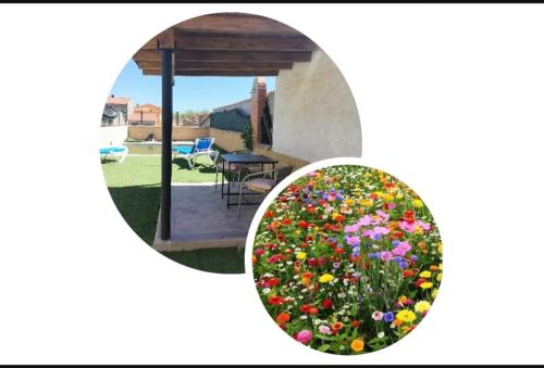 a picture of a garden with flowers in a yard at LOS SUEÑOS DE JAVIER in Robledillo