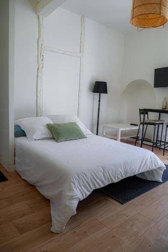 Le Bazacle - Sublime Logement en Hypercentre