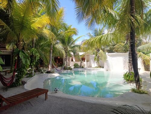 una piscina con una pelota de fútbol y palmeras en Secret Paradise Mahahual, en Mahahual