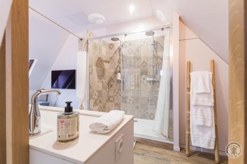 a bathroom with a shower and a sink at Au bord de l'étang - Le Presbytère in Montaigu