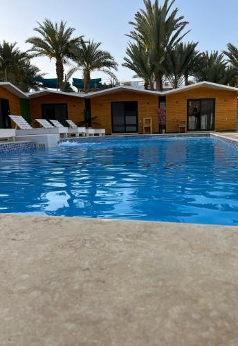 una gran piscina frente a un edificio con palmeras en Downtown pool Bungalows en Dahab