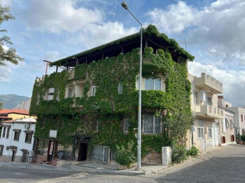 a building covered in ivy on the side of a street at Hotel Bella in Selçuk