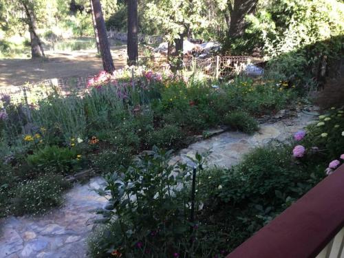 Κήπος έξω από το Yosemite Firehouse Inn