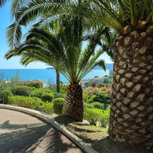 Villa Francia Cannes photo 14