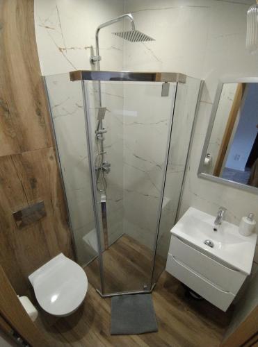 La salle de bains est pourvue d'une douche, de toilettes et d'un lavabo. dans l'établissement Pokoje Dębowa, à Kazimierz Dolny