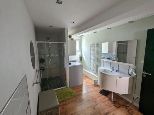a bathroom with a shower and a sink at Maison familiale en Touraine in Saché