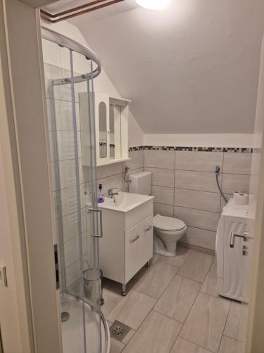 盧比安納的住宿－Orhidea，浴室配有卫生间、盥洗盆和淋浴。