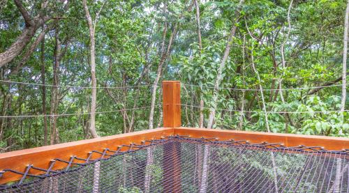 Foto dalla galleria di Au Jardin Des Colibris Ecolodge&Spa a Deshaies