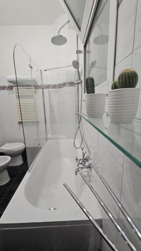 Appartamento con giardino centocelle metro c