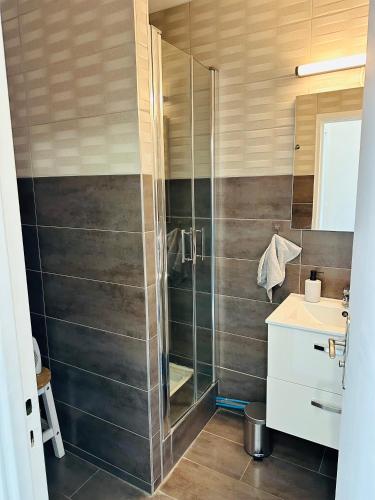 une salle de bain avec une douche en verre et un lavabo dans l'établissement Très agréable studio à Villeurbanne, à Villeurbanne