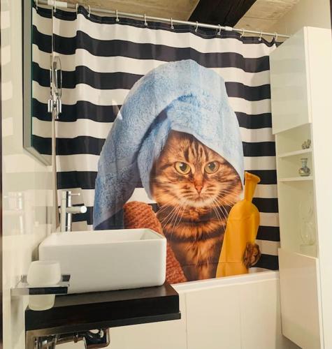 a cat with a towel on its head on a shower curtain at Authentic House of Character in Birgu