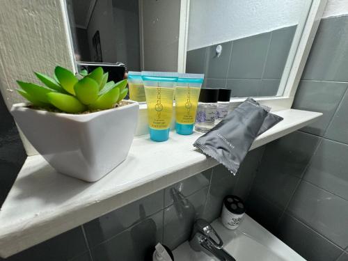 a bathroom shelf with a plant and glasses on it at Best minimal studio in Xanthi - myHomee in Xanthi