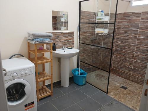 een badkamer met een wasmachine en een wastafel bij Le T3 de l'Ouest in Saint-Laurent du Maroni