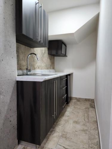 a kitchen with black cabinets and a sink at Hotel Roque in Torreón