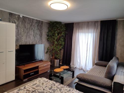 a living room with a couch and a television at Ferienwohnung Rhein-Main II in Flörsheim