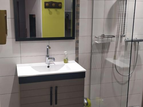 a bathroom with a sink and a shower at Spacieux gîte familial avec jardin et salle de jeux, proche de Center Parcs et des Vosges - FR-1-584-45 in Repaix