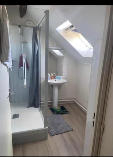 une salle de bain avec un lavabo, une douche et un miroir dans l'établissement Chambre privée chez l'habitant, à Angers