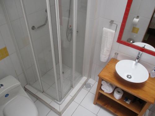 a bathroom with a shower and a toilet and a sink at Hotel Boutique Las Azucenas in Constitución