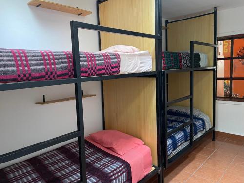 a room with four bunk beds in a room at Hostal La Isla in San Cristóbal de Las Casas