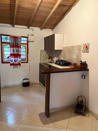 cocina con encimera en una habitación en Susurro del bosque, en Medellín