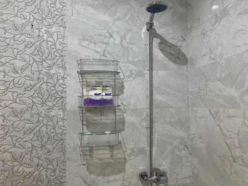 uma casa de banho com um chuveiro e uma prateleira. em بوتيك هاوس بدخول ذاتي وصالة أنيقة em Hail