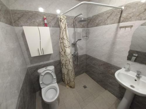a bathroom with a shower and a toilet and a sink at Sahakyan's guest house in Yerevan