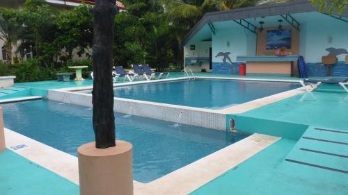 Una piscina con una palmera en el medio. en HOTEL COCOMAR, en Parrita