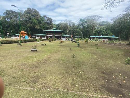 a field with birds sitting in the grass at Lapa Verde Lodge in Jaloba