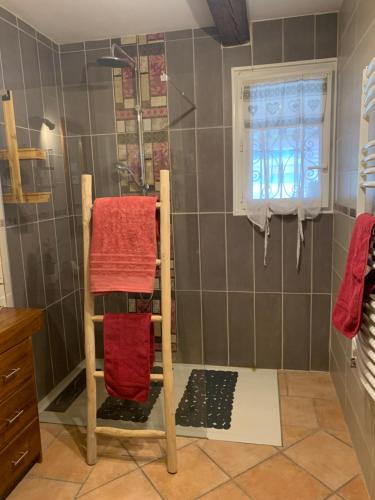 メルイユにあるEden 2 piscine privéeのバスルーム(シャワー、赤いタオル付、はしご付)