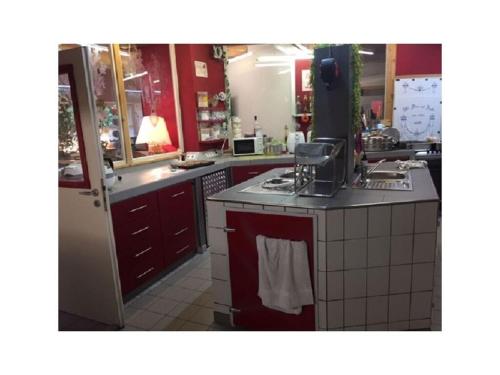 馬克特奧伯多夫的住宿－Bärensee Modern retreat，一间厨房,配有红色橱柜和台面