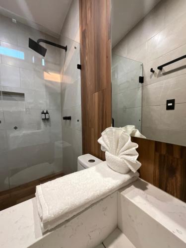 La salle de bains blanche est pourvue d'une douche et de toilettes. dans l'établissement Casa Vanora, à Garita