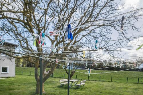 a tree with many kites hanging from it at Strandnaher Bungalow in Dierhagen