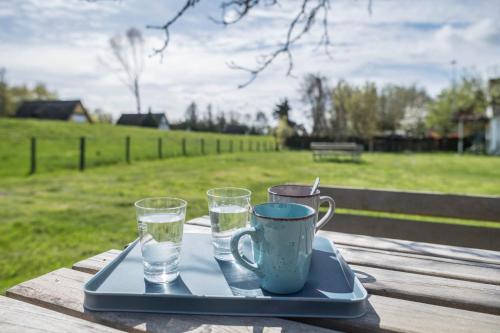 Gallery image of Strandnahe Fewo 4 in Dierhagen