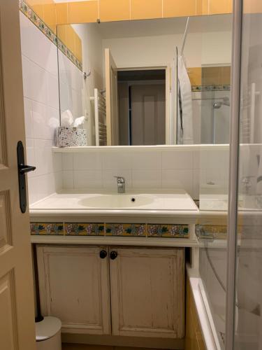 une salle de bain avec un lavabo et un miroir dans l'établissement Appartement région de St-Tropez, à Grimaud