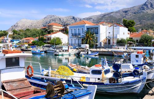 a bunch of boats are docked in a harbor at Amazing Villa By The Sea in Paleros