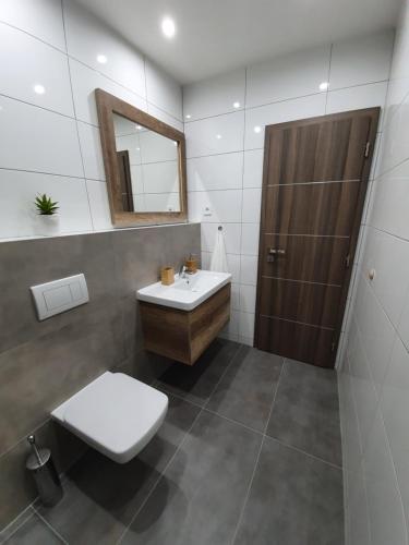 a bathroom with a sink and a toilet and a mirror at DomirexGroup Apartments in Lučenec
