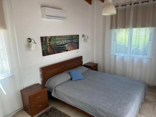 a bedroom with a bed and two windows at Villa Chrysanthemum in Neo Chorio
