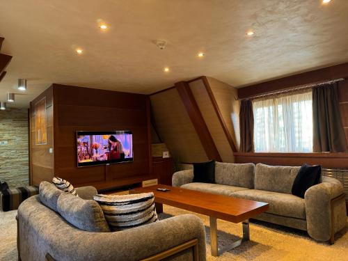 TV a/nebo společenská místnost v ubytování Vip Apartments Kopaonik