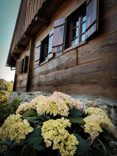 Сад в Country home Lagom