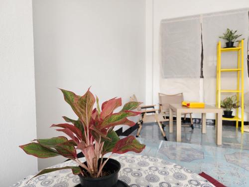 サッタヒープにあるGOOD VIBE house sattahipのギャラリーの写真