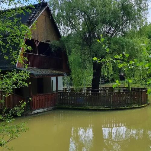 a house surrounded by flood water in front of it at Unique House on the Lake in Pădurea Neagră