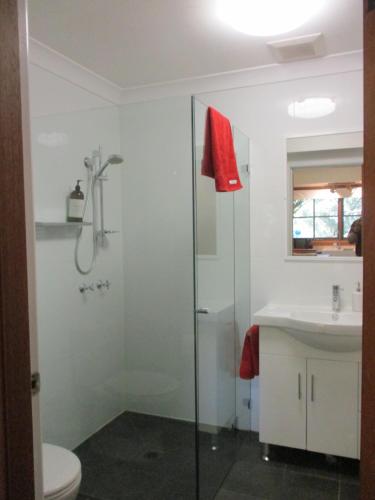 a bathroom with a shower and a toilet and a sink at Warriwul Farmland Rural Retreat BnB, Curramore/Jamberoo in Jamberoo