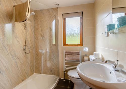 a bathroom with a sink and a toilet and a shower at Derw Lodge in Trefeglwys