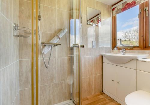 a bathroom with a shower and a sink at 1 Derw Cottages in Trefeglwys