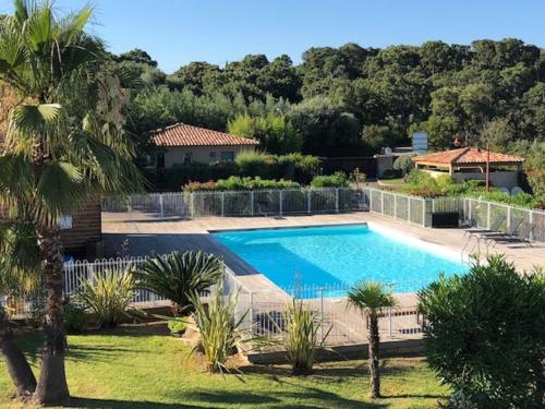- une grande piscine dans une cour bordée de palmiers dans l'établissement Appartement Le Pinarello, à Sainte-Lucie de Porto-Vecchio