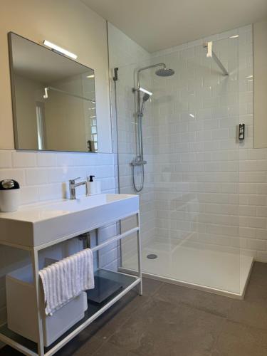 uma casa de banho com um lavatório e um chuveiro em Résidence CATALINA em Saint-Florent