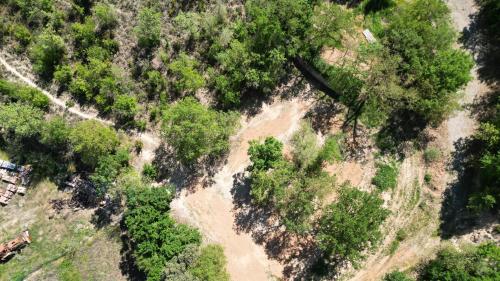 an overhead view of a forest with trees at Móvil Home Grande in Alós de Balaguer