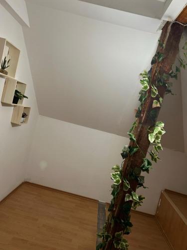 uma sala com uma parede com uma planta a crescer nela em Acogedor apartamento em Dudelange