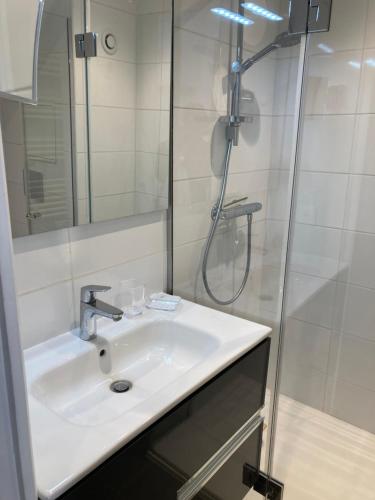 une salle de bain avec un lavabo et une douche dans l'établissement Cannes appt 4 pers/4 F Renoir, à Cannes